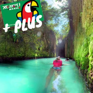 parque xcaret plus en cancun con transporte o solo entradas