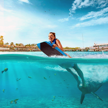 Swim Adventure nado con Delfines - Dolphin Discovery