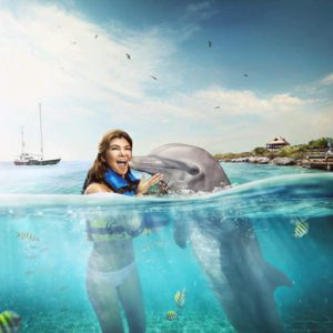 Encuentro con Delfines en Isla Mujeres Meet and Greed