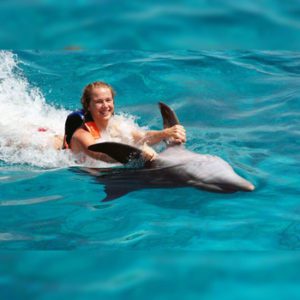 Ocean Secret nado con delfin - Dolphinaris Ventura Park