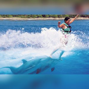 Royal Swim nado con Delfines - Dolphin Discovery