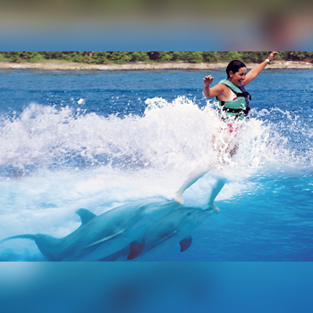 Royal Swim nado con Delfines - Dolphin Discovery