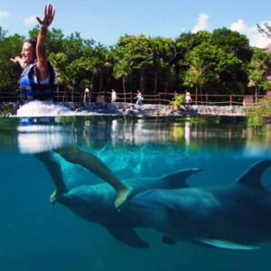 Primax + Parque Xelha - Delphinus