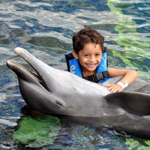 Dolphin Ride - Delphinus Plaza la Isla