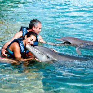Couple Program - Delphinus Plaza la Isla