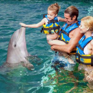 Splash - Delphinus Plaza la Isla