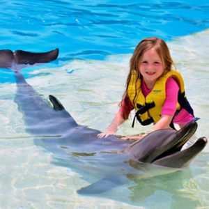 Programa Interactivo con Delfin - Dolphinaris Ventura Park