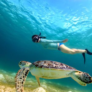 Akumal nado con Tortugas, Cenotes y Playa del Carmen