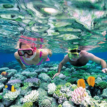 Cozumel tour Plus con Snorkel