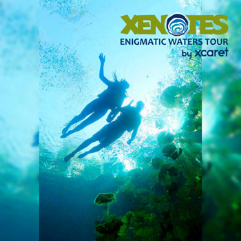 Tour Xenotes – Experiencias Xcaret