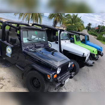 COZUMEL tour en JEEP por la Isla tour de DÍA